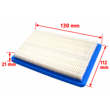 Oro filtras Briggs & Stratton varikliams 491588/399959