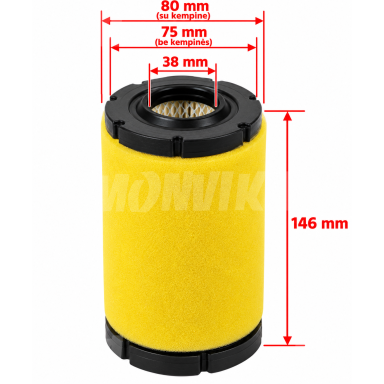 Oro filtras Briggs & Stratton varikliams 793569
