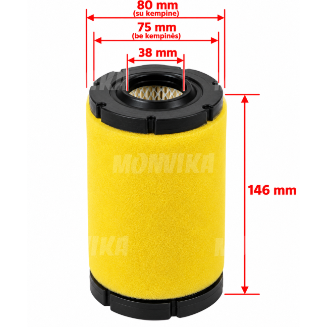 Oro filtras Briggs & Stratton varikliams 793569 Oro filtras Briggs & Stratton varikliams 793569